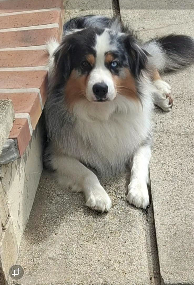 TWISTER de l'opalyne des pierres précieuses